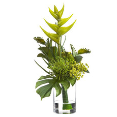 HELICONA PHILO PROTEA 19"