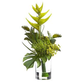 HELICONA PHILO PROTEA 19"