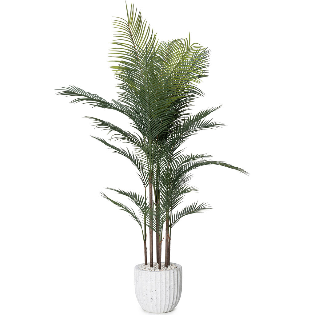 MADAGASCAR PALM TREE 72" POTTED WHITE