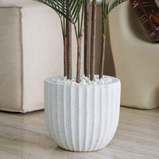MADAGASCAR PALM TREE 72" POTTED WHITE