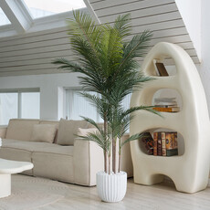 MADAGASCAR PALM TREE 72" POTTED WHITE