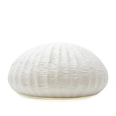 OCEANIA AROMA OIL DIFFUSER