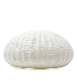 OCEANIA AROMA OIL DIFFUSER