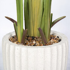 TRAVELLER'S PALM 72" POTTED BEIGE