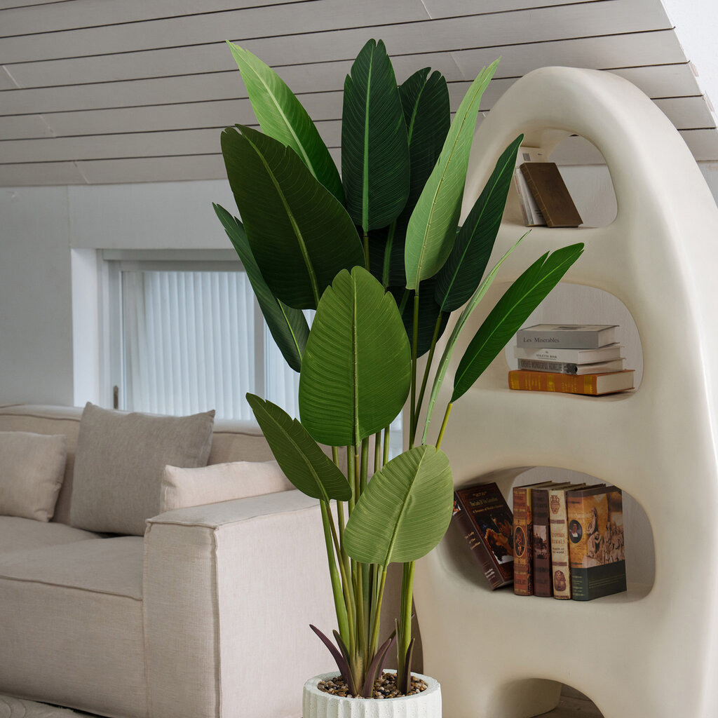 TRAVELLER'S PALM 72" POTTED BEIGE