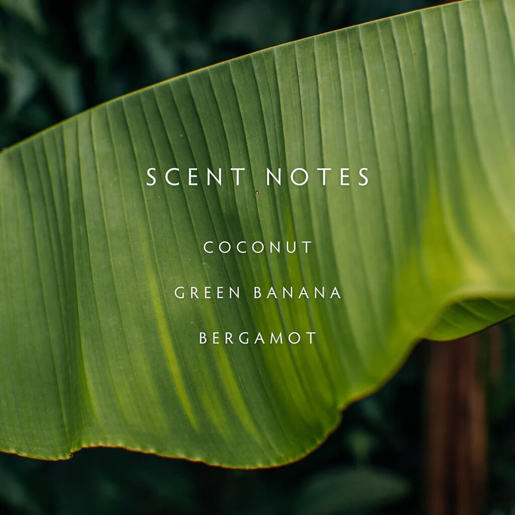 BANANA WILD - LINNEA Two Wick Candle