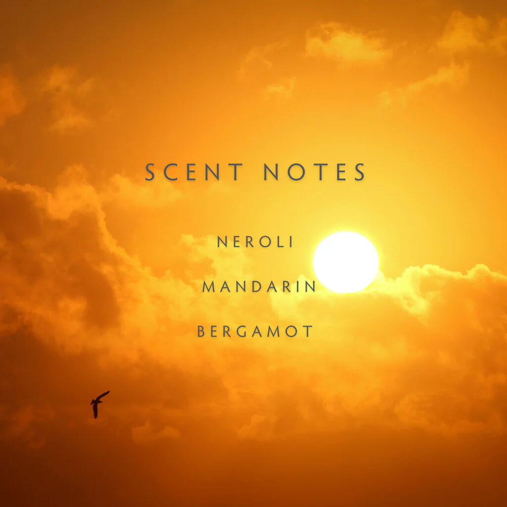 SUN DAY - LINNEA Two Wick Candle