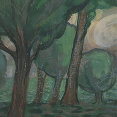 DEEP FOREST MAJESTIC GARDEN I