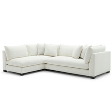 ELIAS FEATHER FILLED SECTIONAL