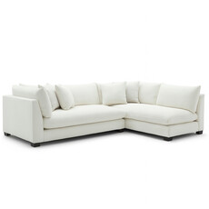 ELIAS FEATHER FILLED SECTIONAL