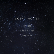 MIDNIGHT - LINNEA Two Wick Candle