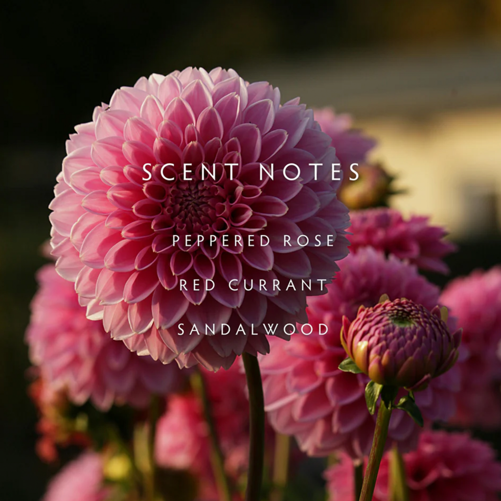 DAHLIA - LINNEA Two Wick Candle