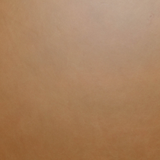 TOLA DINING CHAIR LEATHER COGNAC