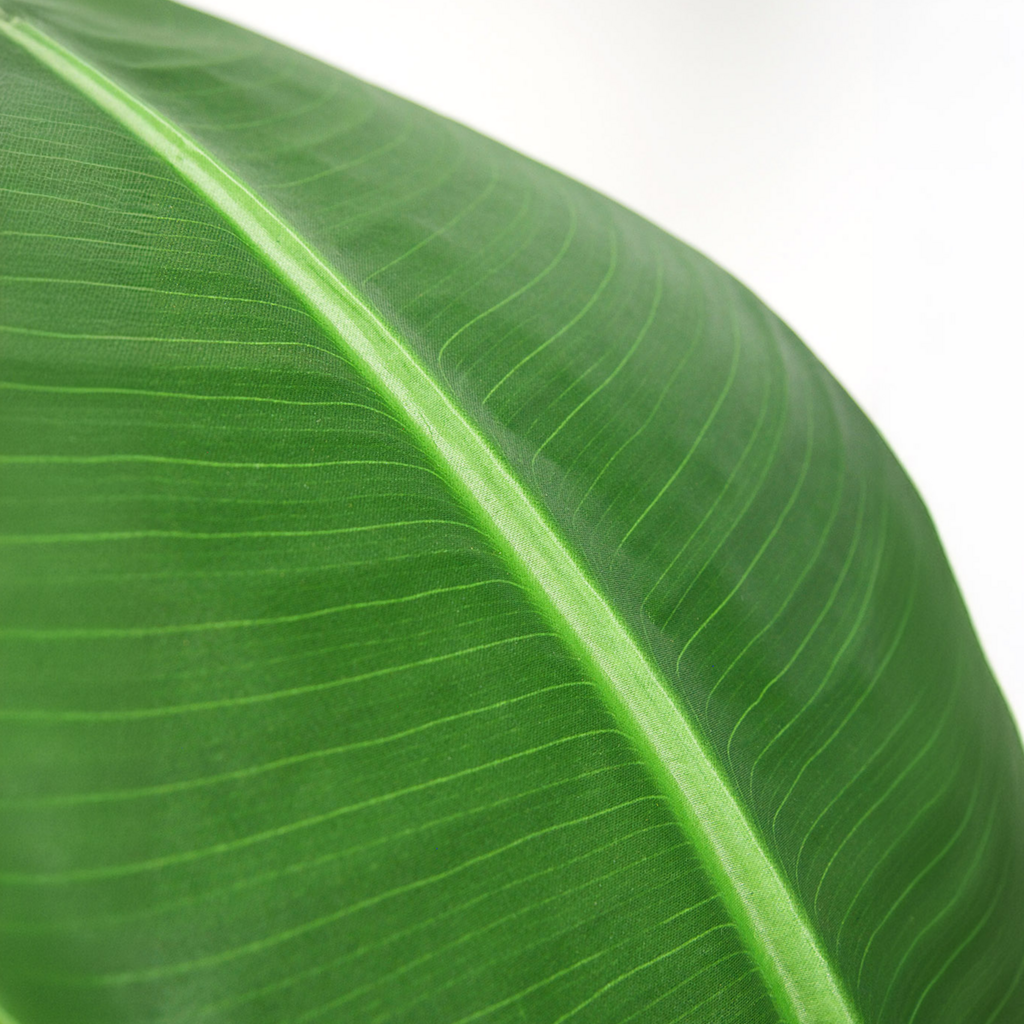 TRAVELLER'S PALM 47"