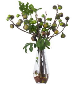 FIG BRANCHES 31" IN GLASS VESSEL