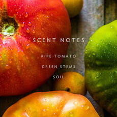 HEIRLOOM TOMATO - LINNEA Three Wick Candle