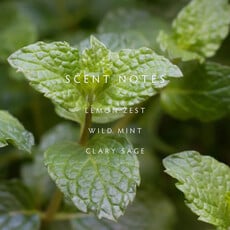 CRUSHED MINT - LINNEA Hand Wash
