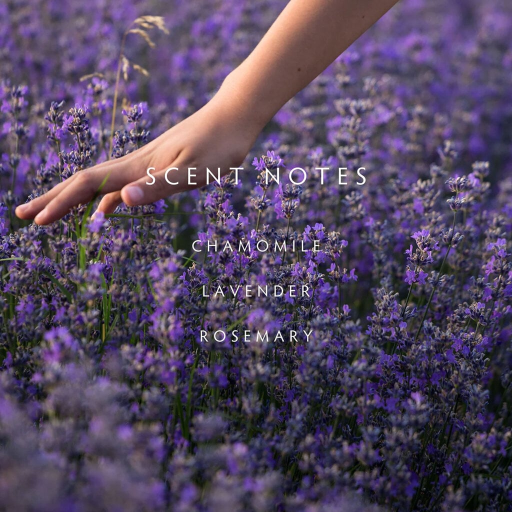 LAVENDER ROSEMARY - LINNEA Hand Wash