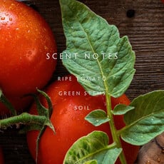HEIRLOOM TOMATO - LINNEA Hand Wash
