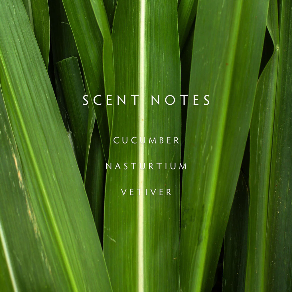 CUCUMBER VINE - LINNEA Two Wick Candle
