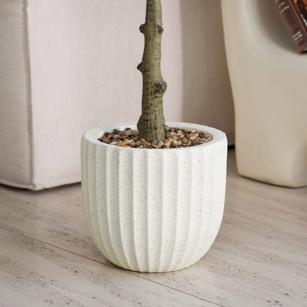 OLIVE PLANT 72" POTTED