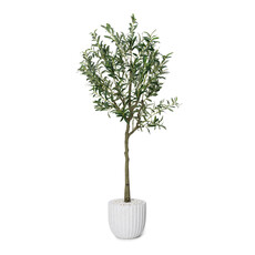 OLIVE PLANT 72" POTTED
