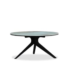 HEMISPHERE COFFEE TABLE LOW