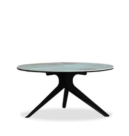 HEMISPHERE COFFEE TABLE LOW