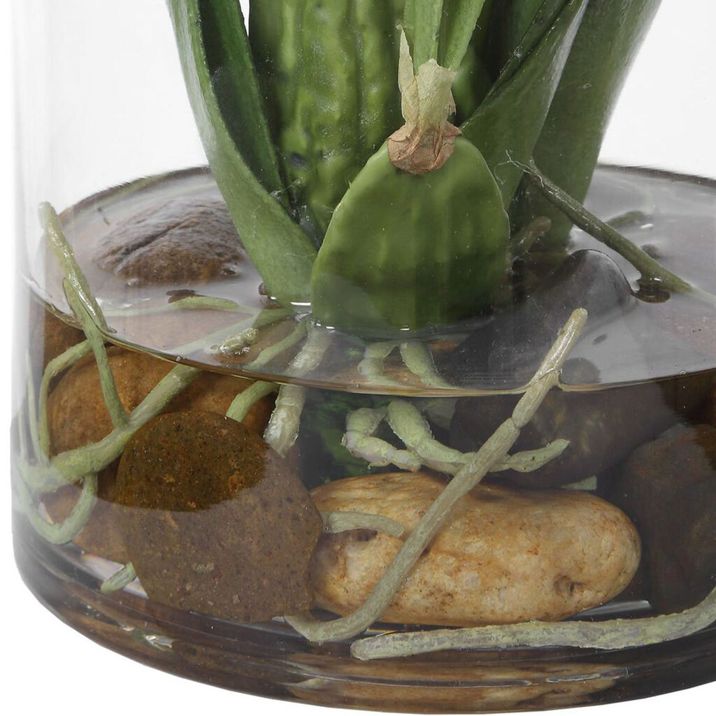 SPIDER ORCHID FLOWERS IN GLASS