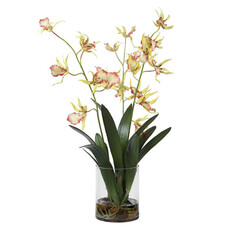 SPIDER ORCHID FLOWERS IN GLASS