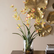 SPIDER ORCHID FLOWERS IN GLASS