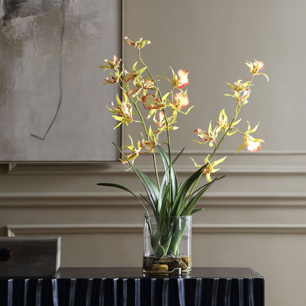 SPIDER ORCHID FLOWERS IN GLASS