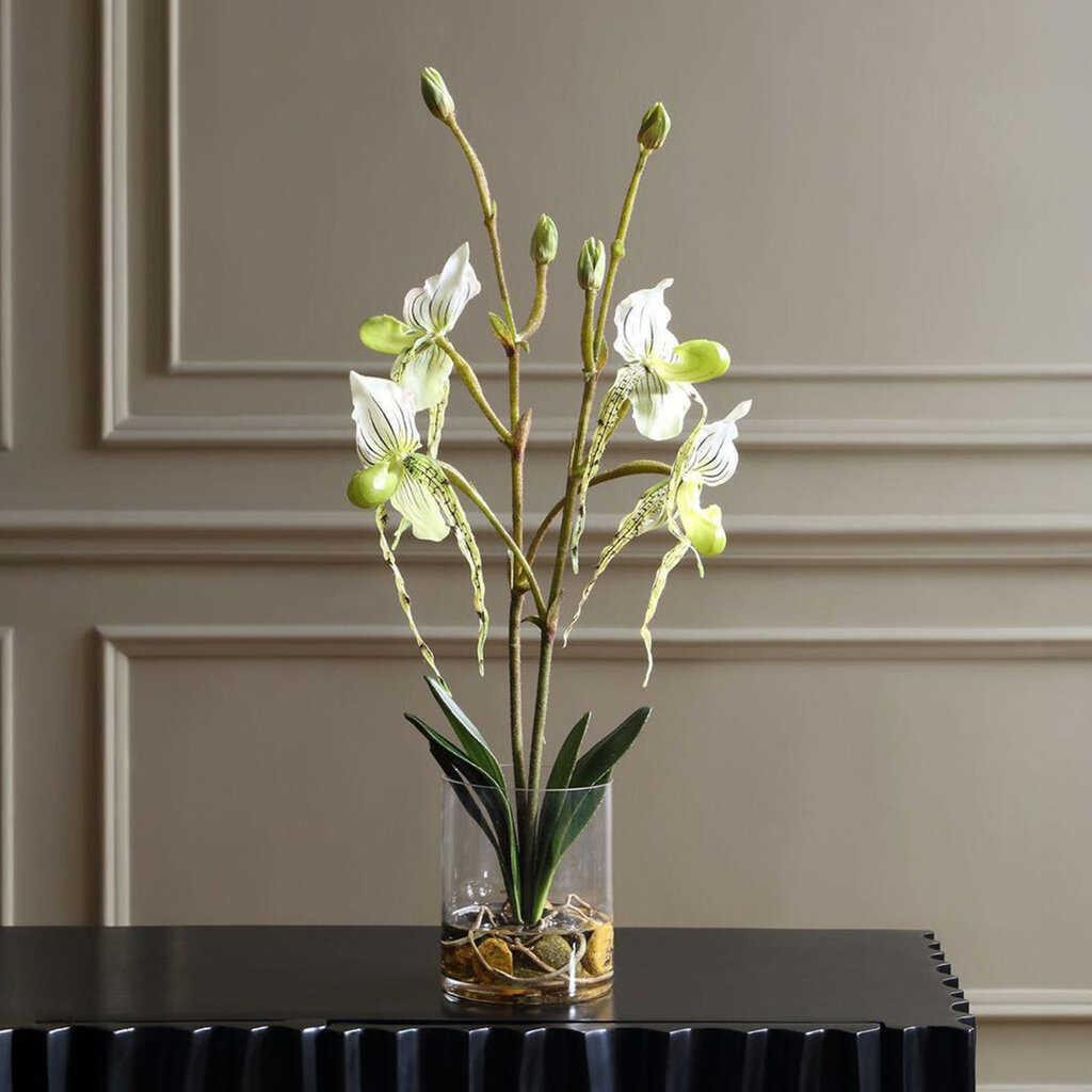 LADY SLIPPER ORCHID FLOWERS IN GLASS