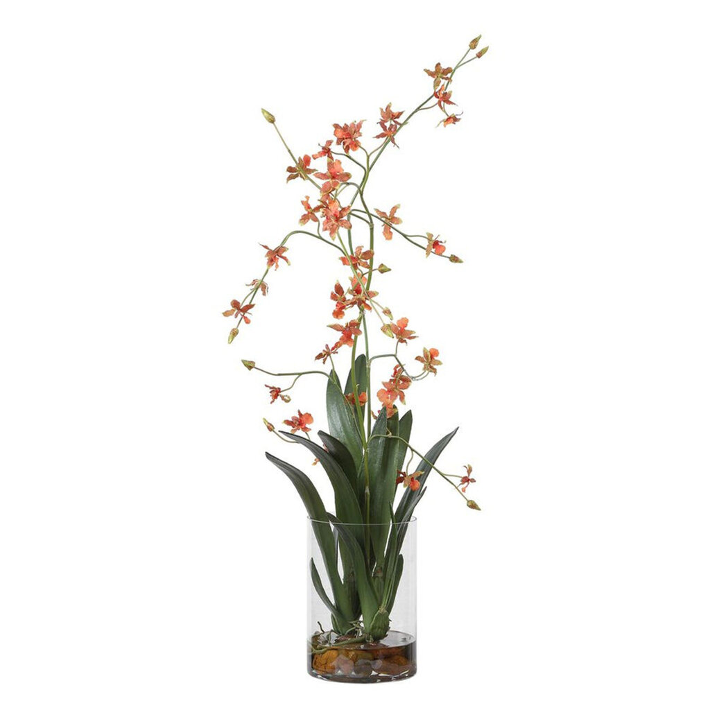 DANCING ORCHID FLOWERS IN GLASS