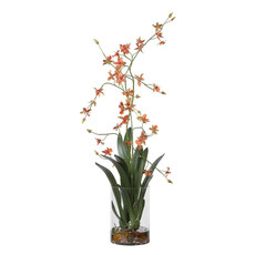 DANCING ORCHID FLOWERS IN GLASS