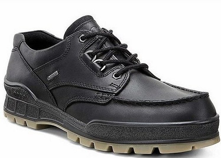 Ecco Men's Track 25 Gore-tex Black - Continental Shoes