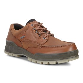Ecco Ecco Men's Track II 25 Gore-tex Bison