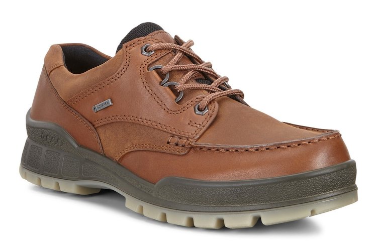 Ecco Ecco Men's Track II 25 Gore-tex Bison