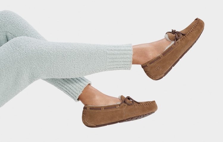 UGG UGG Women's Dakota Chestnut