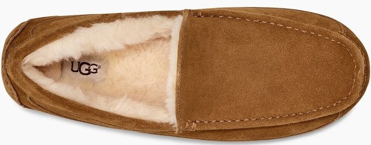 UGG UGG Men's Ascot Chestnut Slipper