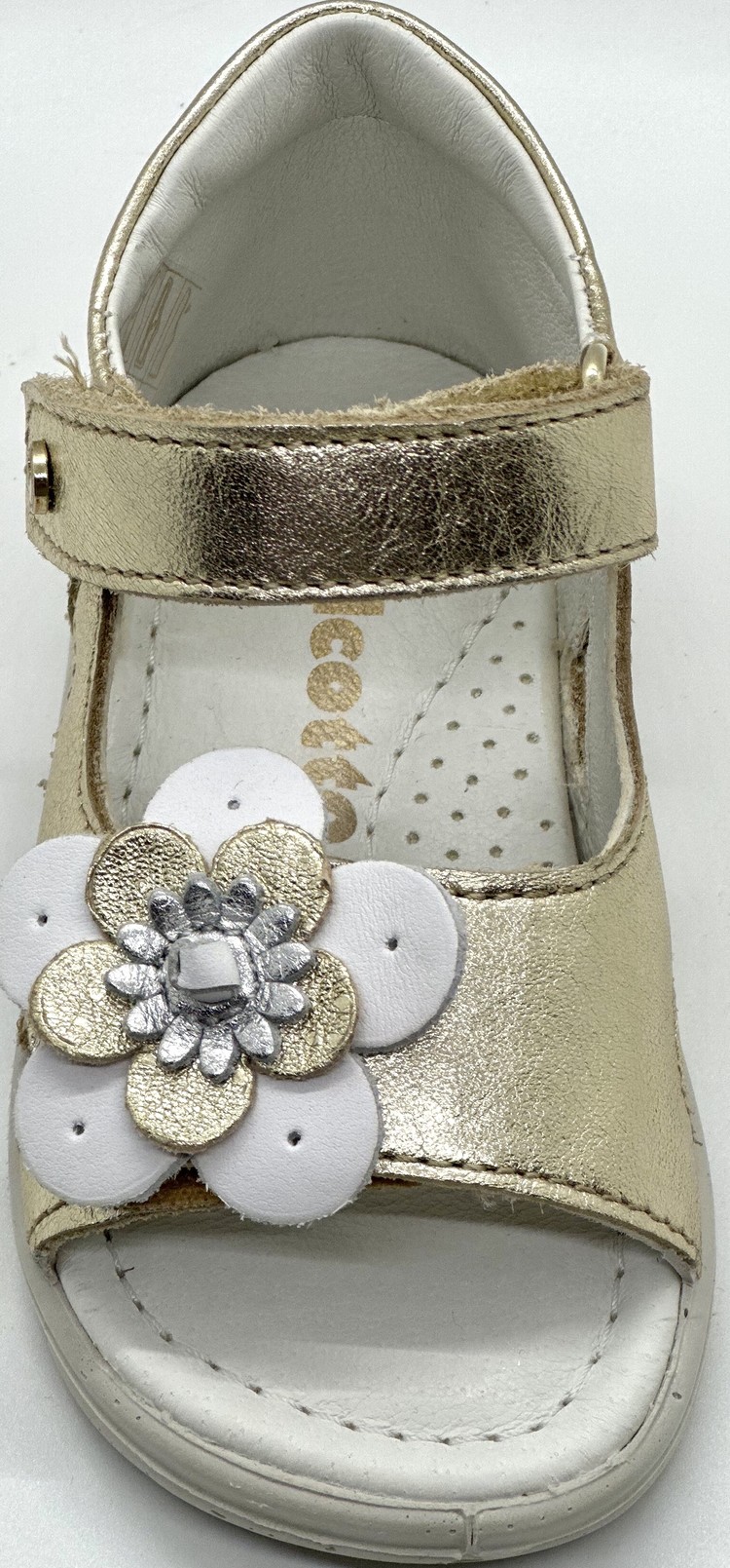 Falcotto Falcotto Toddler Girl's Mirad Platinum Sandal