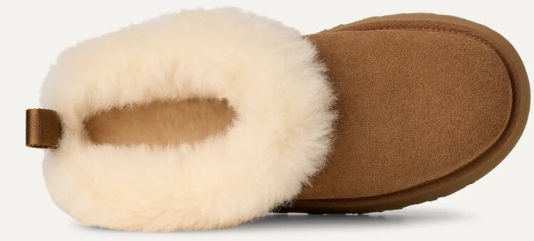 UGG UGG Women's Chestnut Tazzelle