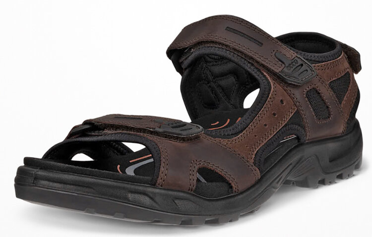 Ecco Ecco Men’s Mocha 06956458290 Sandal