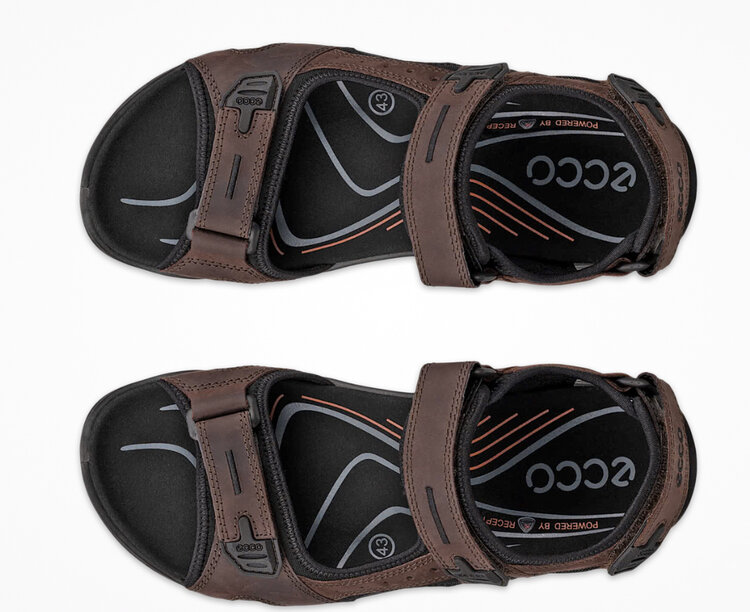 Ecco Ecco Men’s Mocha 06956458290 Sandal