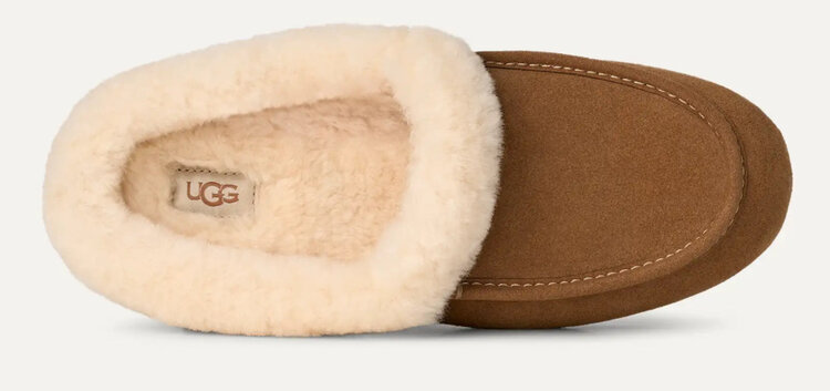 UGG UGG Women’s Ansley Mule Chestnut