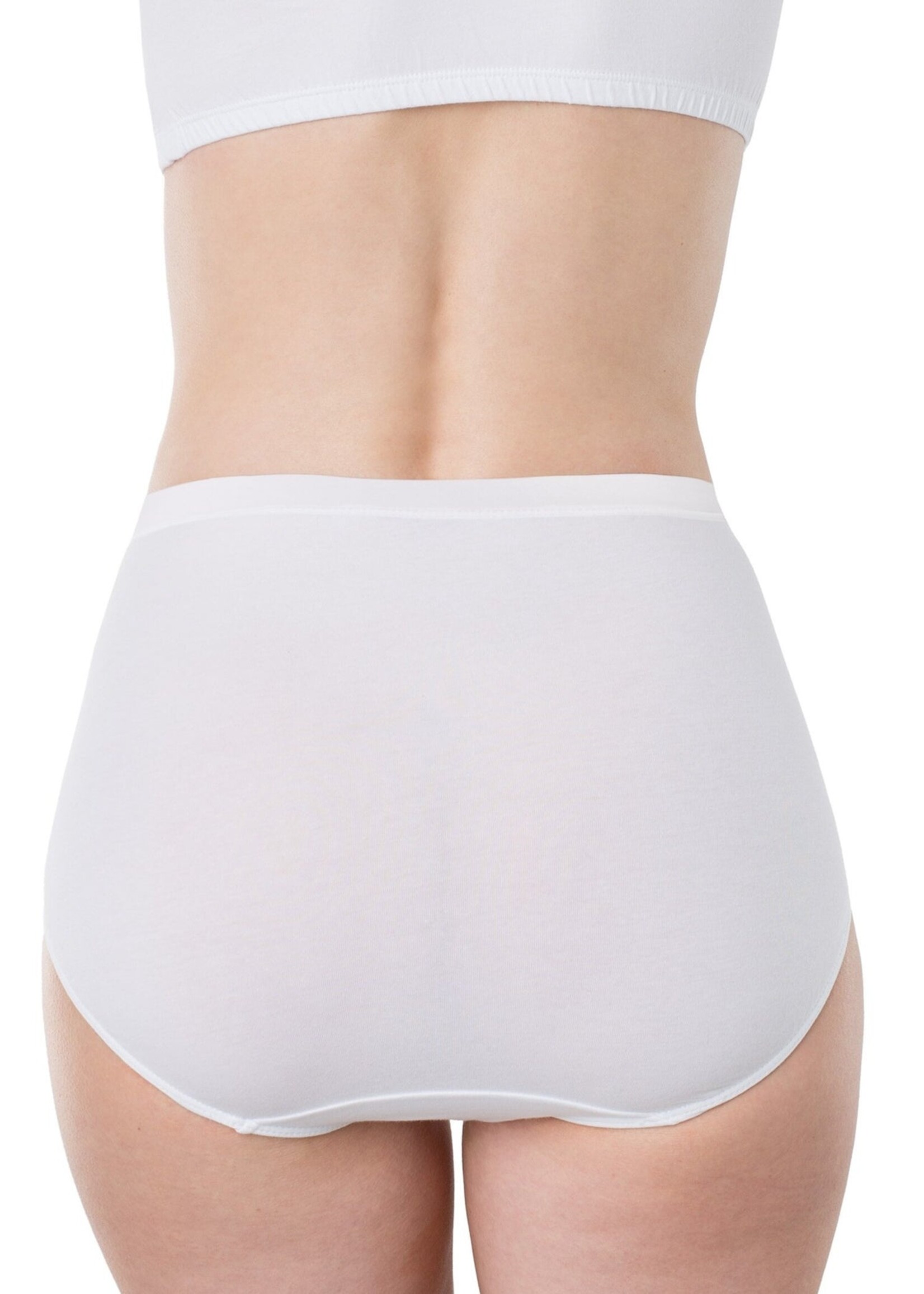 Elita Full Classic Cut Cotton Brief