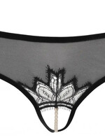 Bracli Kyoto Brief