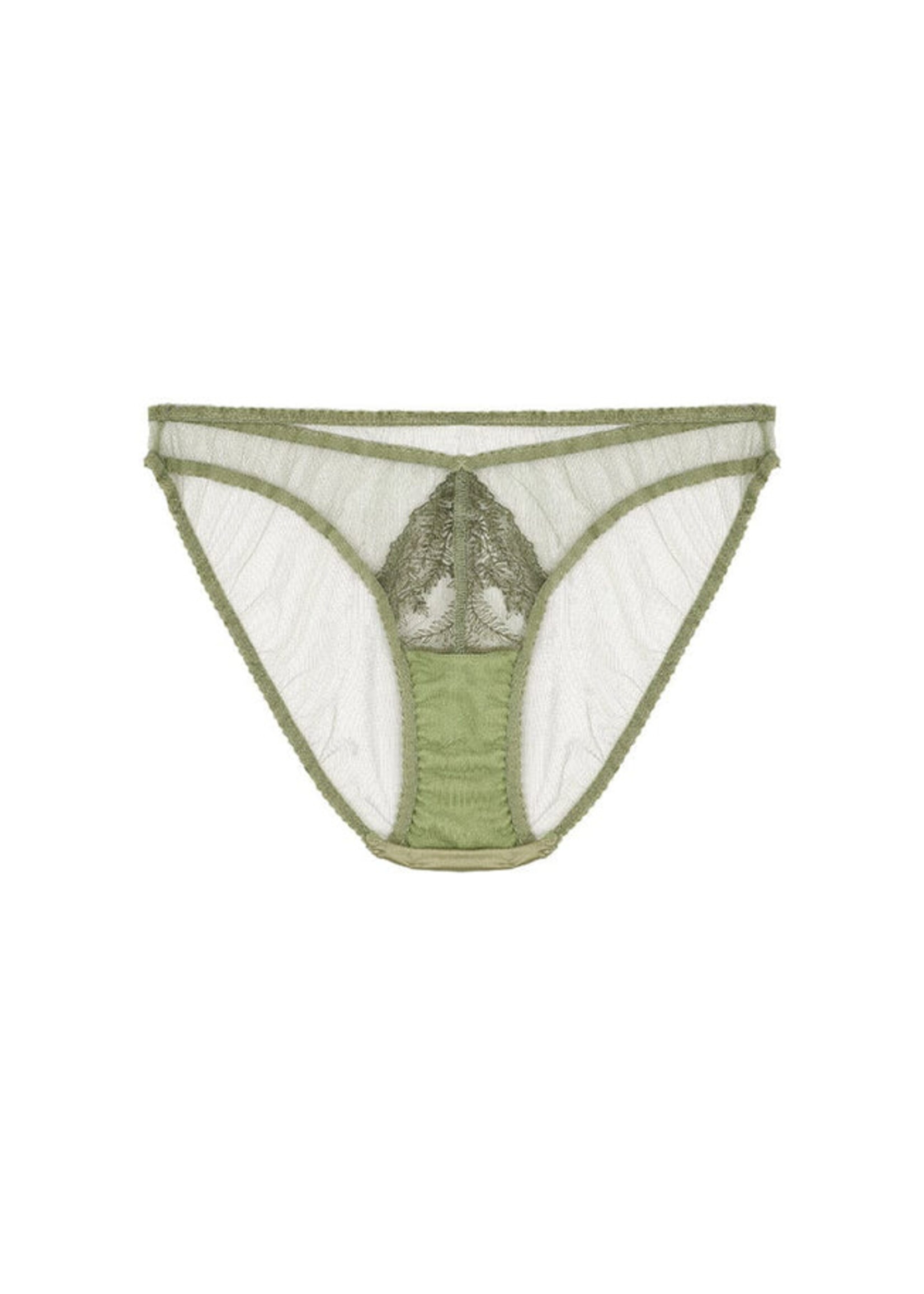 Fleur of England Arianna Brief