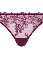 Fleur of England Viola Brazilian Brief