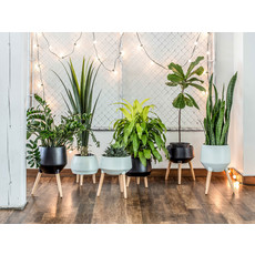 Style In Form Circa Base Planter - Neo Mint